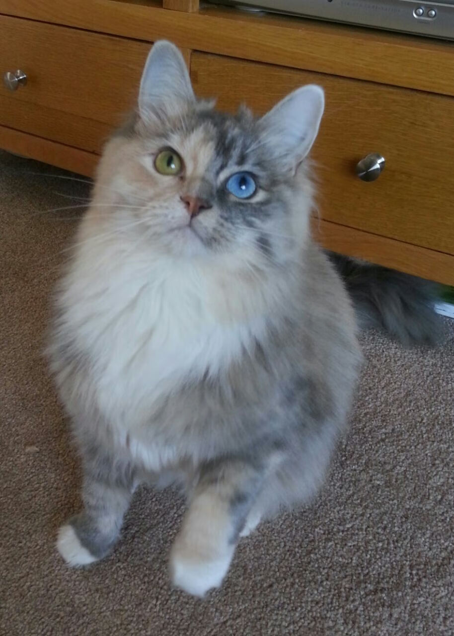 开云体育中国-唯一的三重奏，体育史上的巧合