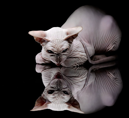 开云体育官网-冰封北境，破壁重生，瑞典草根球队绝境逆袭阿森纳之战