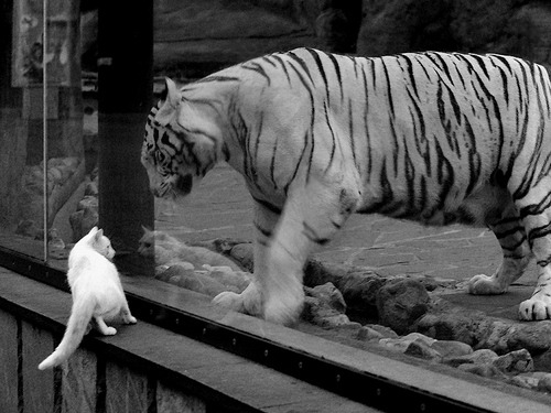 三线齐发，三笘薰为英超注入新能，英格兰提前终结悬念，皇马于无声处布局未来