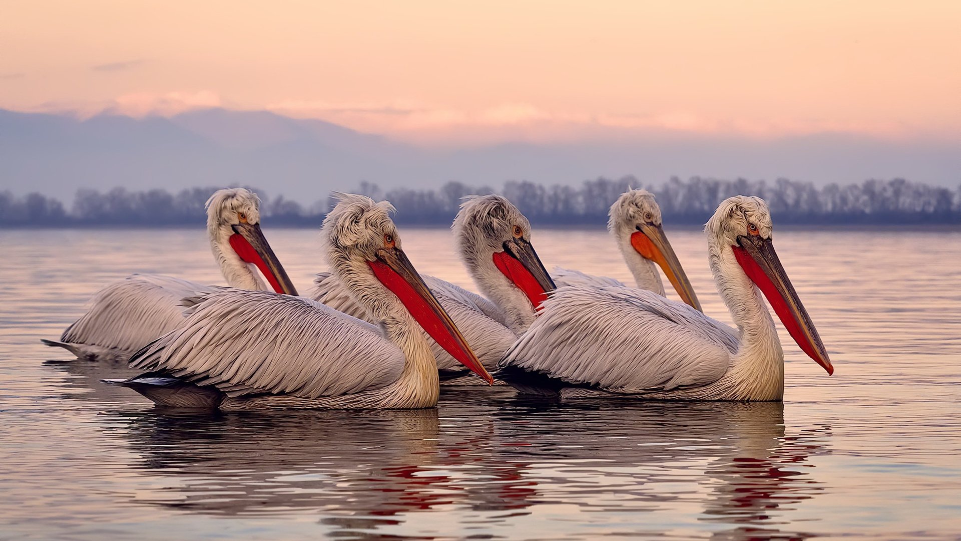 开云体育登录-王朝暗流与逆袭篝火，当切特统治数据，广东血性翻盘的隐喻