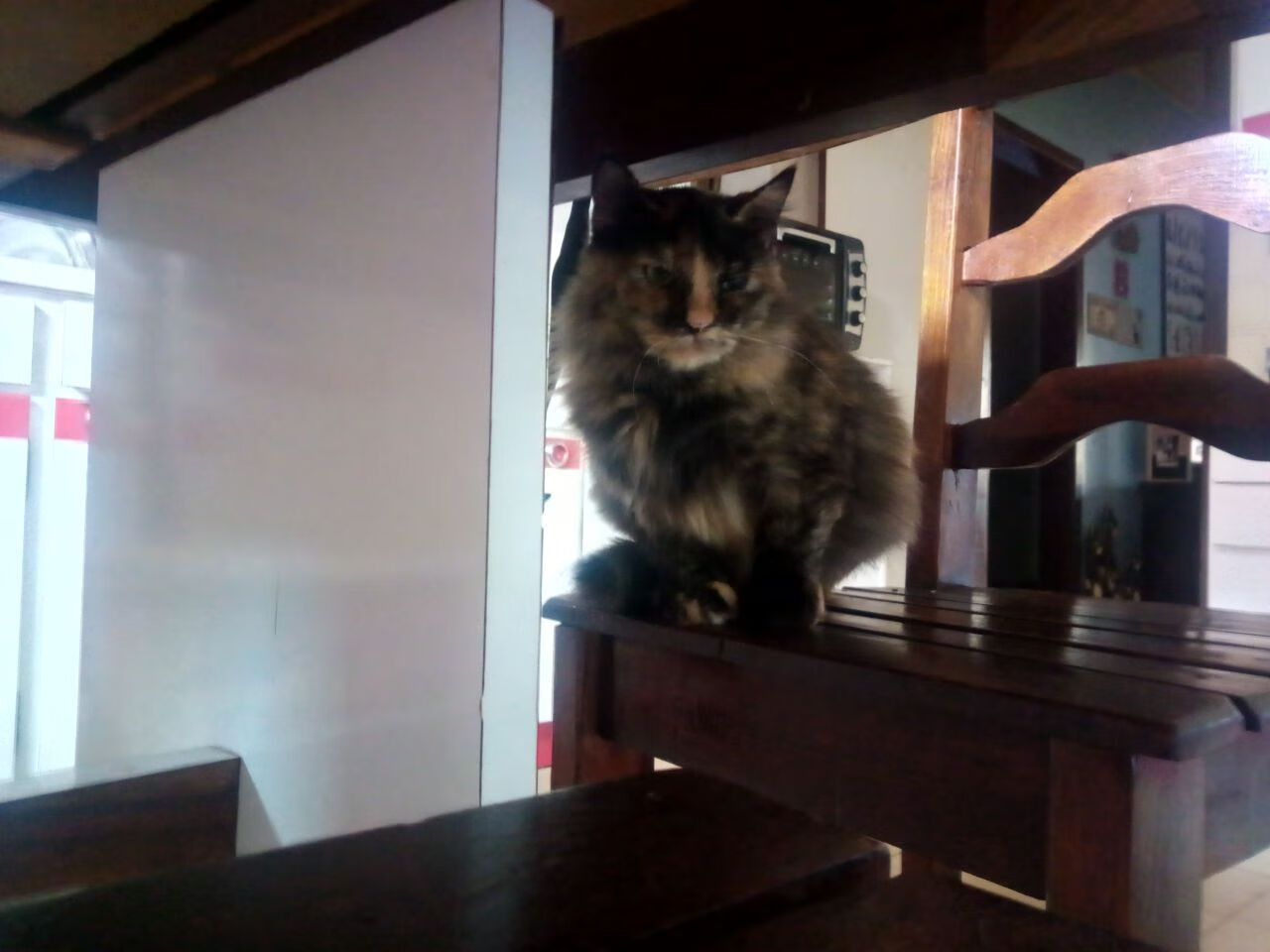 开云体育登录-抢七战神德里赫特独揽乾坤，奥地利轻取瑞典晋级季后赛四强