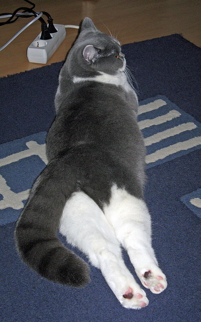 伯纳乌的钢铁与非洲鼓点,当毕尔巴鄂在最后一刻翻盘安哥拉,穆勒成为寂静中的关键先生