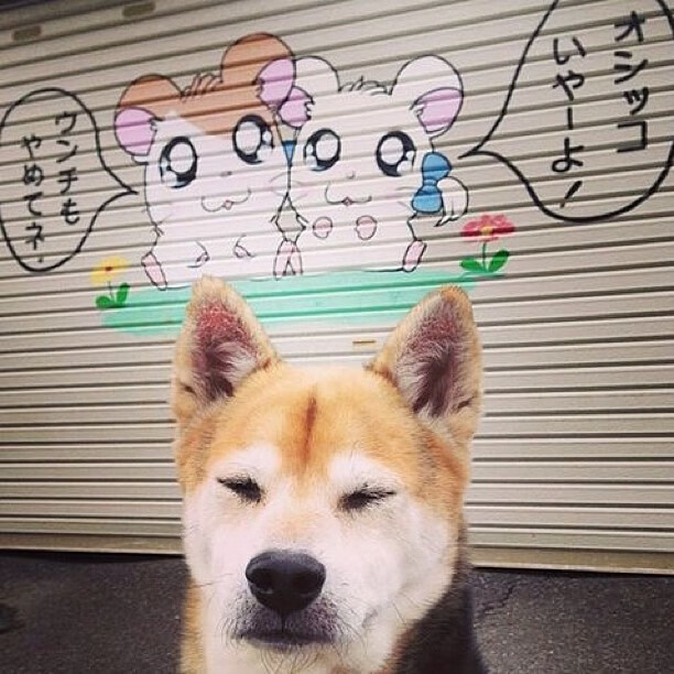 跨界狂想，F1揭幕战上的加纳绝杀英格兰—赛道与绿茵的奇幻交响