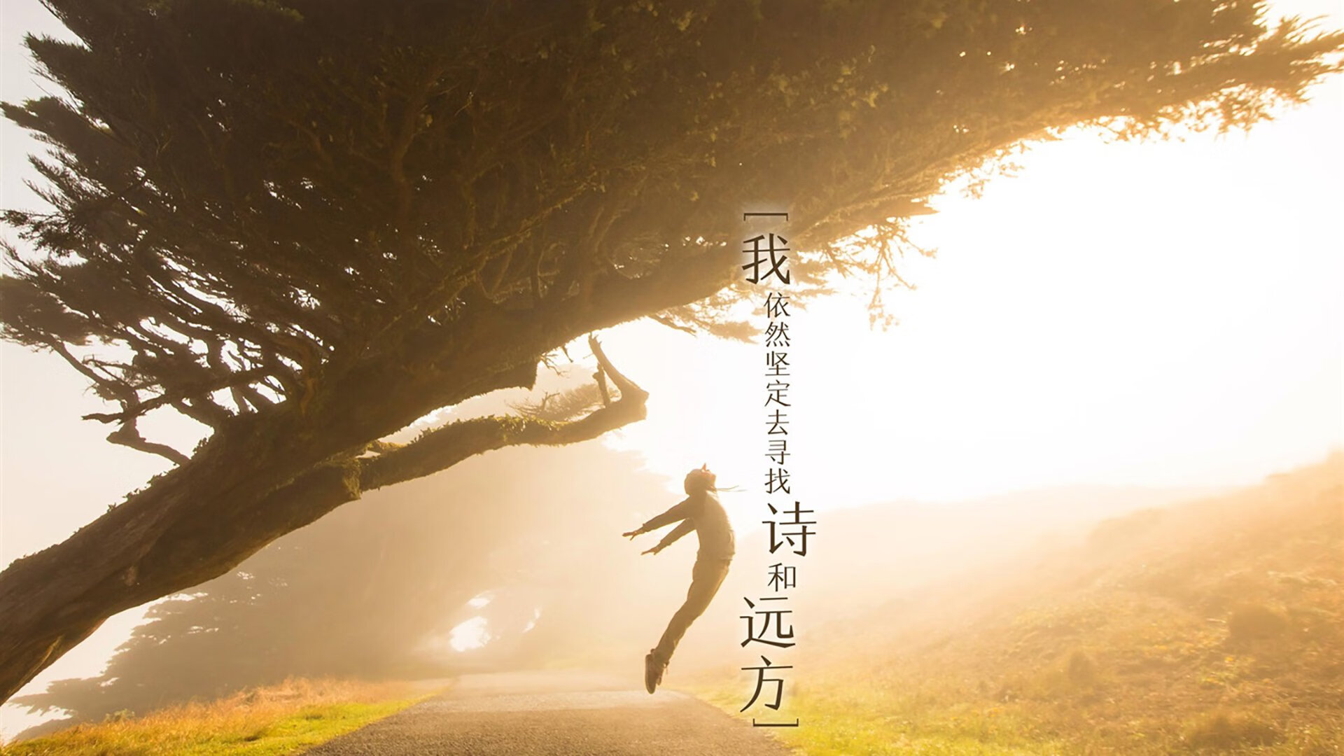 开云体育入口-埃及法老终章绝杀，法国神锋全面制霸—双星闪耀定义现代足球新维度