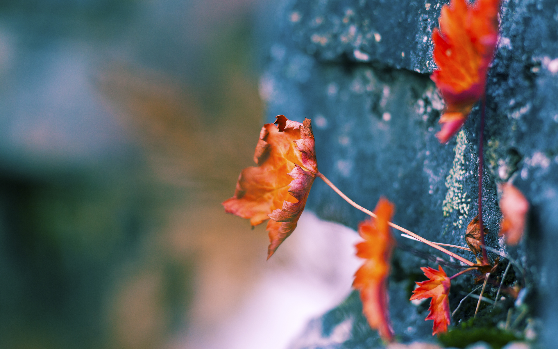 蓝色风暴席卷伊比利亚，巴斯托尼的完美交响曲击碎葡萄牙黄金梦