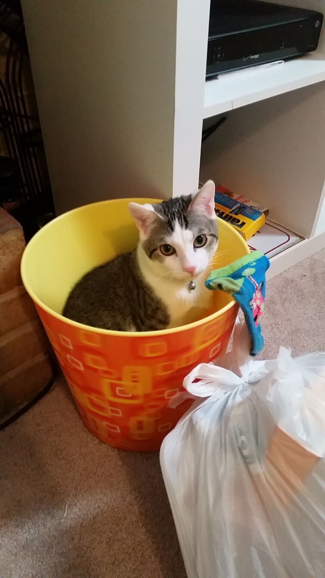 约基奇!全球辽宁球迷共同的硬仗之王