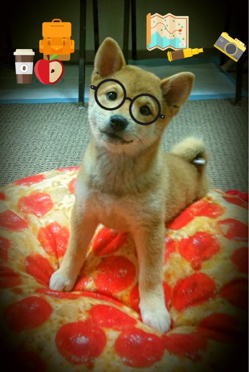 开云体育登录-速度与荣耀，F1新赛季揭幕战 与 洪都拉斯的晋级奇迹