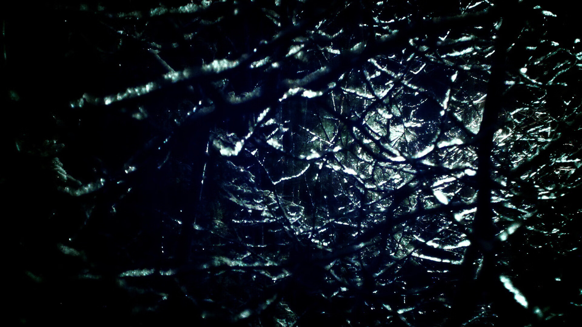 零点三秒，一生一次—马克西48分神迹与步行者压哨绝杀的双重独奏