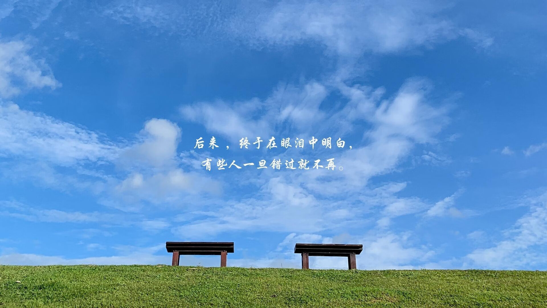 胜利的共鸣,浙江队夺冠战告捷,武切维奇引领世界排名争夺战