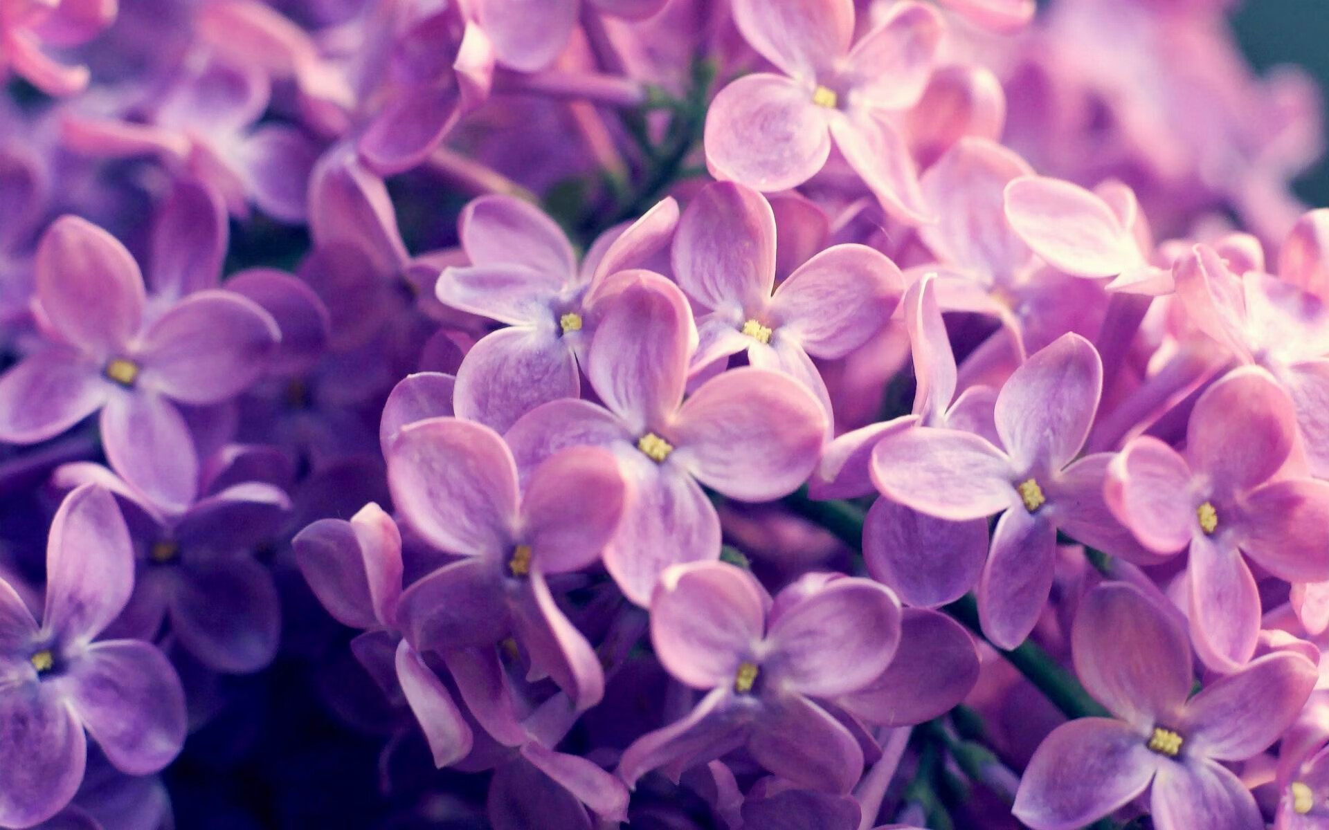 开云体育-当塞维利亚的镰刀，遇见巴黎的锁