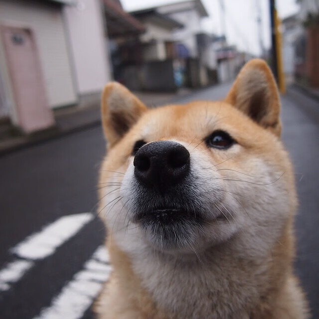 开云体育入口-穿越时空的共振，阿什拉夫与姆巴佩，两代摩洛哥血脉在不同战场的统治时刻
