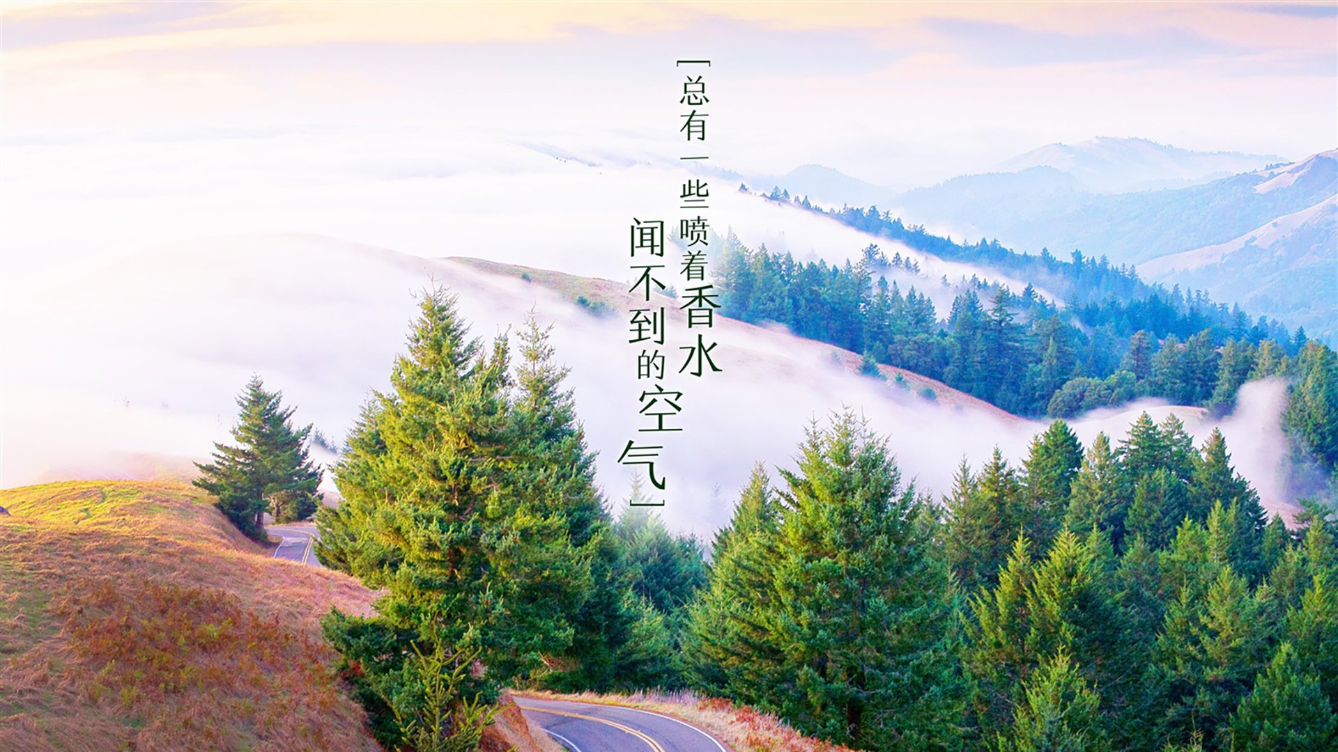 北欧海盗新船长,B费,一个葡萄牙灵魂在挪威的胜利预言