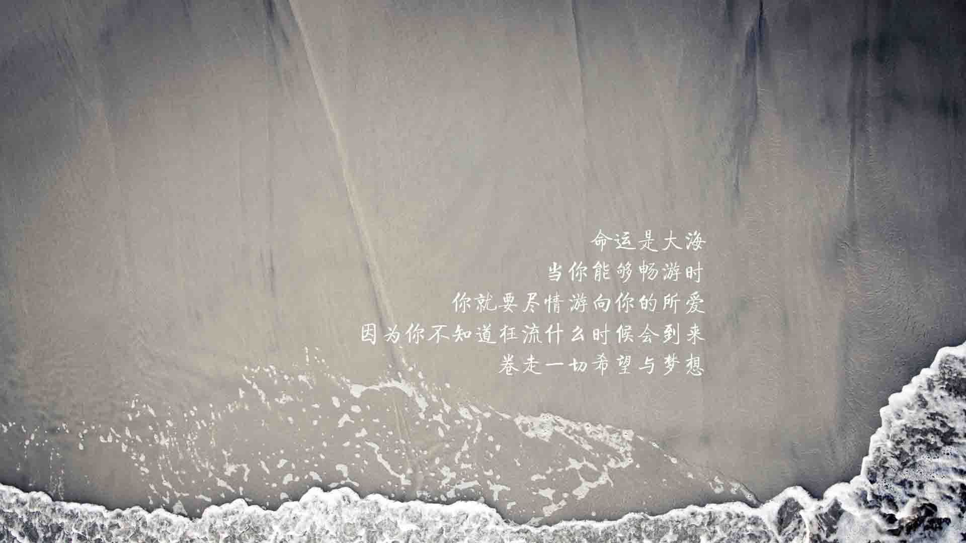 这是一篇为您定制的文章。为了突出唯一性,我将从一个非常具体的人性视角切入—不是冰冷的战术板,而是失败者在巅峰时刻的救赎与宿命
