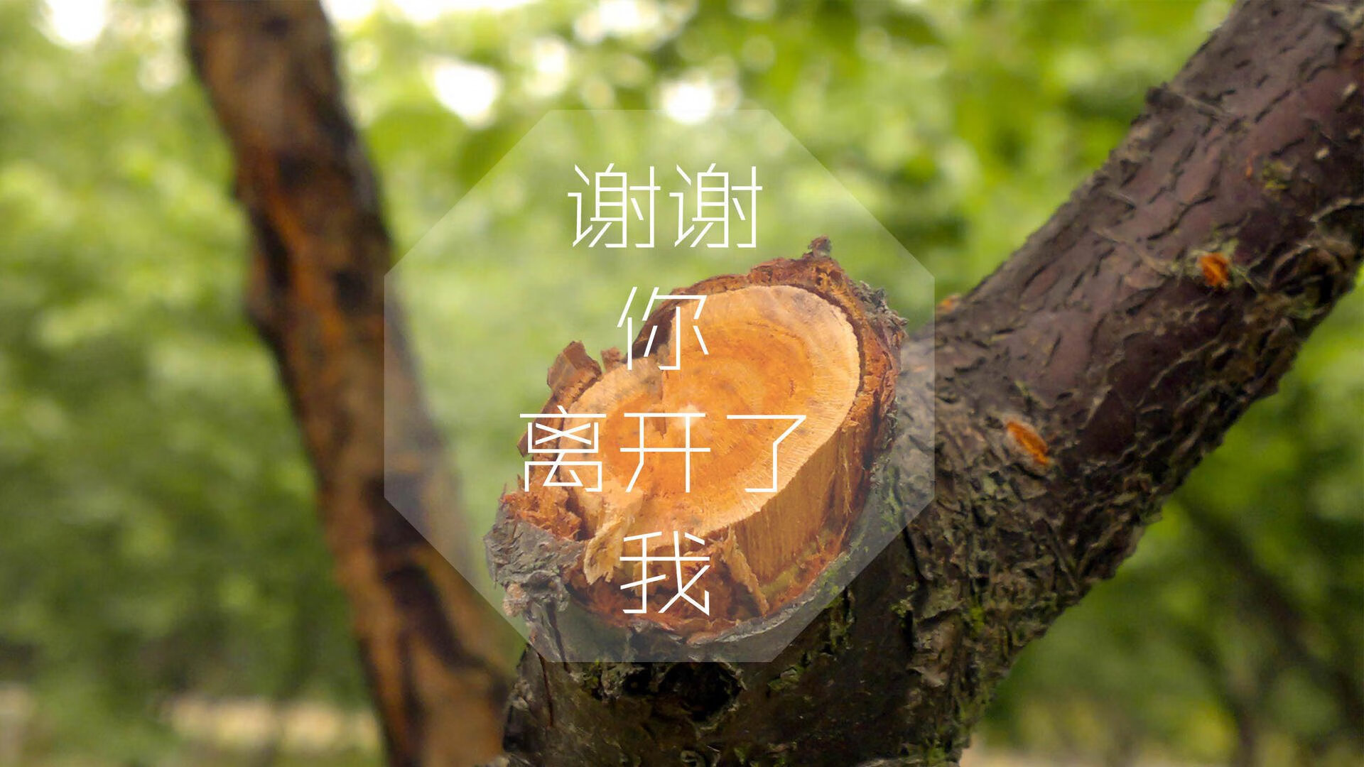 开云体育官网-安第斯神话，止于北欧童话，贝林厄姆的致命弧线，将丹麦送上2026世界杯王座