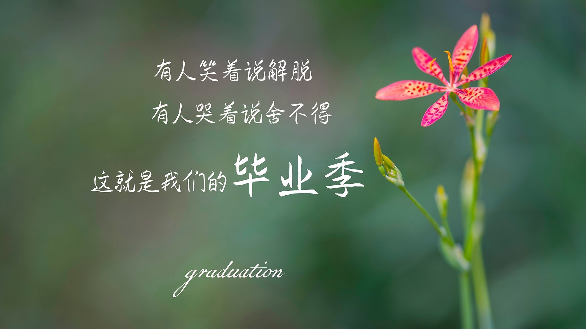 斗牛士风暴席卷东南亚,西班牙三叉戟击穿铁桶阵,努涅斯神兵天降独造三球闪耀2026世界杯D组